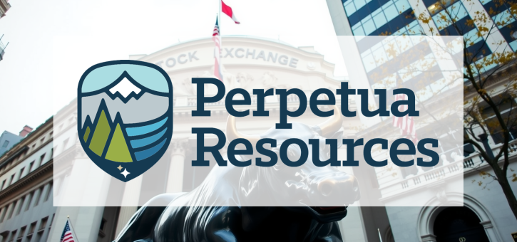 Beitragsbild zu Perpetua Resources Aktie: Verwässerung oder Wachstumsschub?